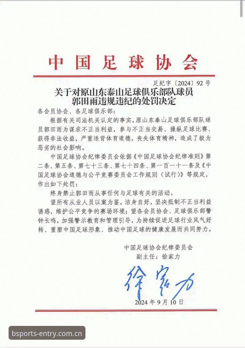 足协第三批禁足名单最新动态：17人终身禁赛，48人受罚，行业整顿再升级